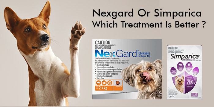 simparica seizures video