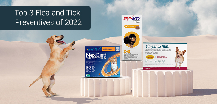 top flea and tick