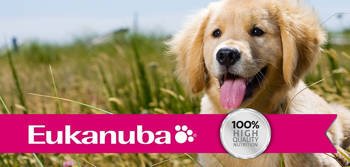 Eukanuba Food For Dogs and Cats