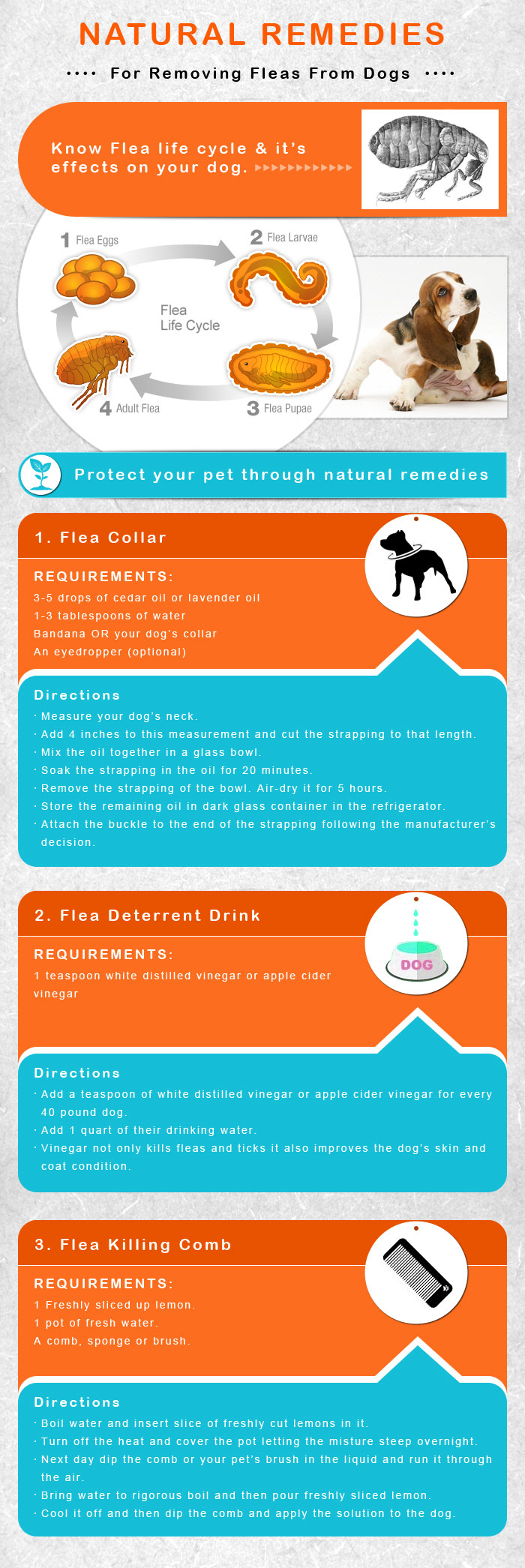 Flea & Tick Control and Prevention Products for Dogs