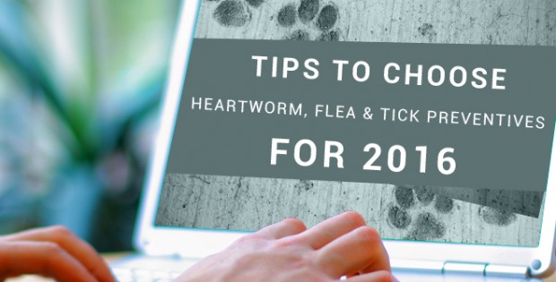 Heartworm, Flea and Tick Preventives for pets
