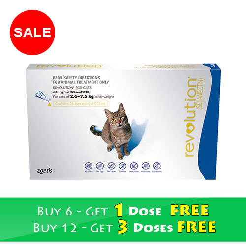 Revolution Flea And Tick Medicine For Cats Revolution Flea And Tick Medicine For Cats
