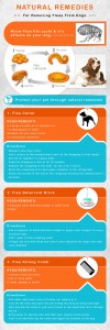 How To Get Rid Of Fleas Naturally: On Your Dog, At home