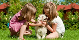 Bringing Home a New Puppy: Tips and Checklist