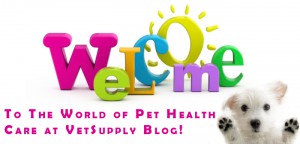 VetSupply - One of Australia's Leading Online Pet Care Store