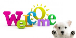 welcome to vetsupply