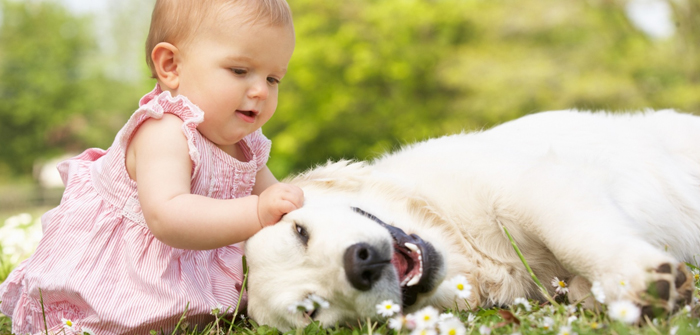 Top Seven Tips to Prepare Your Dog for the Newborn
