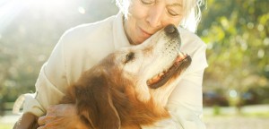 The Surprising Benefits of Pet Therapy in Nursing Homes