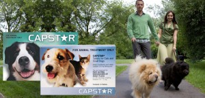 Capstar – The Best Flea Treatment After an Outdoor Trip