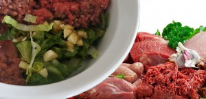 Raw Diet For Dogs: Will It Improve Your Dog's Health