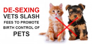 Desexing Dogs & Puppies - Costs & Benefits of Desexing