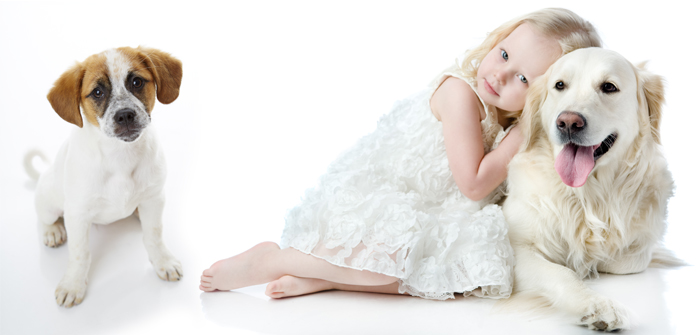 Planning to own a pet? – Check the breeds first