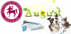 August is AVA Pet Dental Health Month
