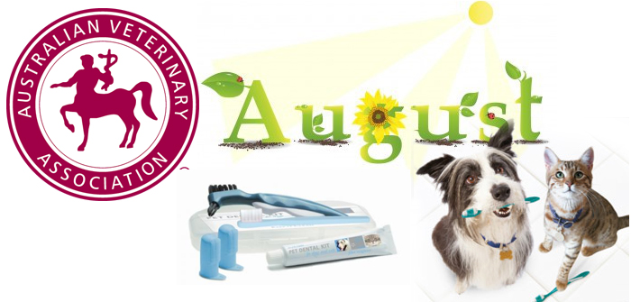 August is AVA Pet Dental Health Month