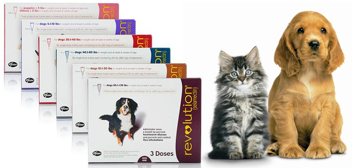 Revolution for cats and dogs – Best debugging solution!