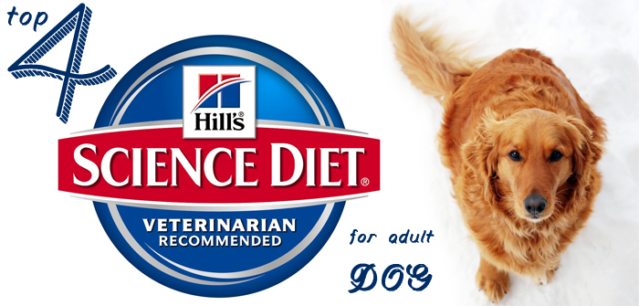 4 highly Recommended Hill’s Science Diet for Adult Dogs
