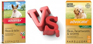 Advantage vs. Advantix: An Important Difference