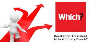 Heartworm Symptoms in Dogs & Treatment