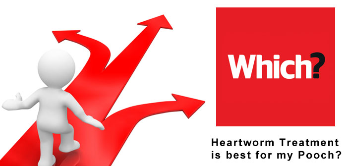 Which Heartworm Treatment is best for my Pooch?