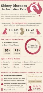 Kidney diseases in Australian Pets