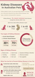 Kidney diseases in Australian Pets