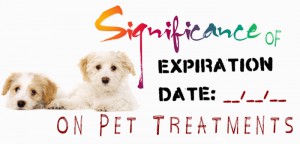 The Truth About Veterinary Drug Expiration Dates