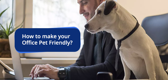 how to make office horse friendly