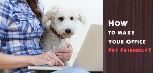 How to make your Office Pet Friendly?
