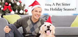 Pet sitting during the holidays: What you need to know