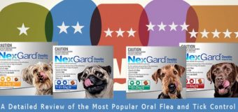 Nexgard Review – A Detailed Review of the Most Popular Oral Flea and Tick Control