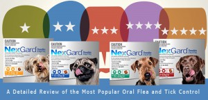 Nexgard review for dogs