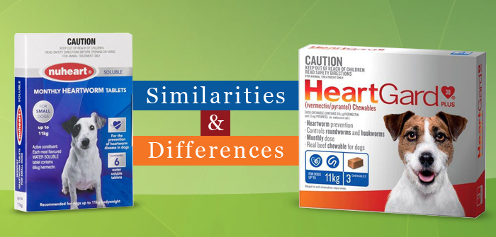 Similarities and Differences Between Nuheart and Heartgard Plus
