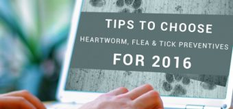 Tips to Choose Heartworm, Flea and Tick Preventives for 2016