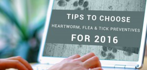 Tips to Choose Heartworm, Flea and Tick Preventives for 2016