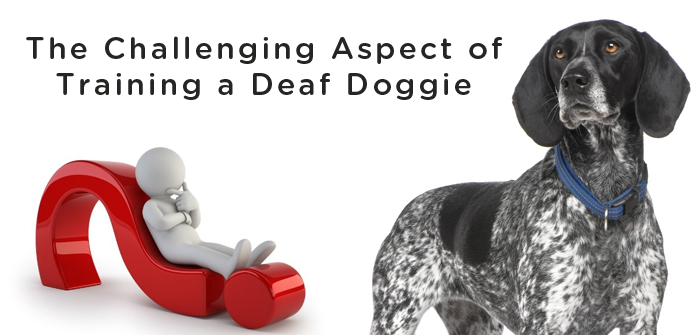 The Challenging Aspect of Training a Deaf Doggie