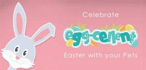 Egg-cellent easter celebration