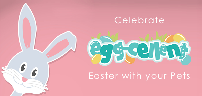 EGG-cellent Pet Care Supplies Discount of 7.5% this Easter to Celebrate with your Pets only @VetSupply