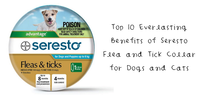Top 10 Everlasting Benefits of Seresto Flea and Tick Collar for Dogs and Cats
