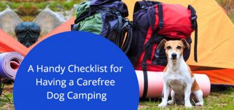 A Handy Checklist for Having a Carefree Dog Camping