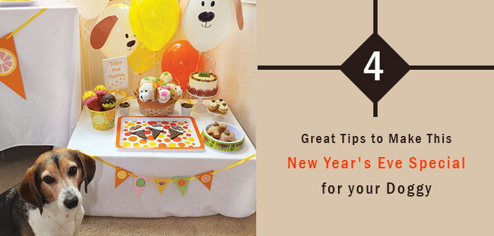 4 Great Tips to Make This New Year’s Eve Special for your Doggy
