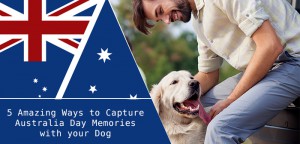 5 Dog Photography Tips & Tricks