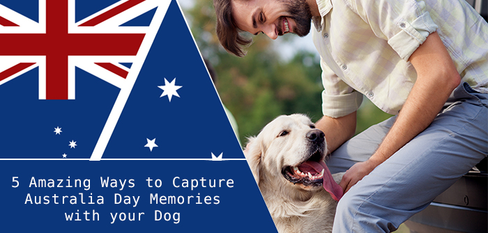 5 Amazing Ways to Capture Australia Day Memories with your Dog
