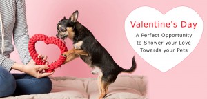 Valentine's Day - A Perfect Opportunity to Shower your Love Towards your Pets