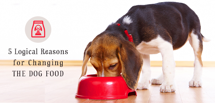 5 Logical Reasons for Changing the Dog Food