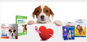 Top 4 Best Heartworm Medicines for Dogs