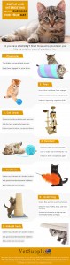 From Flabby to Fit: Aerobic Exercise for Cats