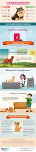 Excessive Shedding in Dogs – Explore Tips To Shed Less