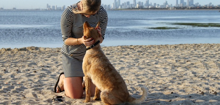 Australia’s Great Pup-friendly Parks for Unleash the Holiday Cheer