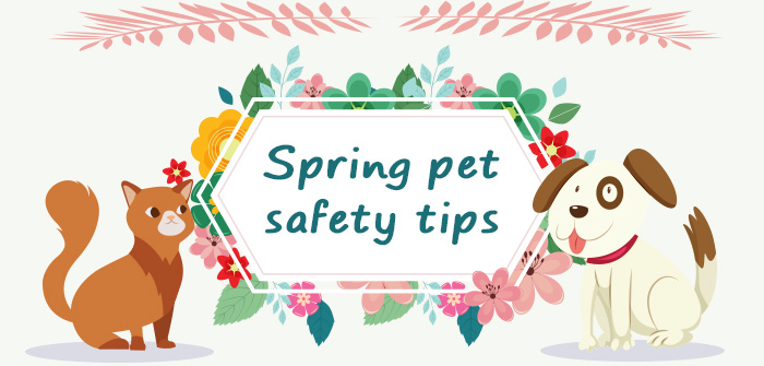 Simple Tips For Pet Safety This Spring