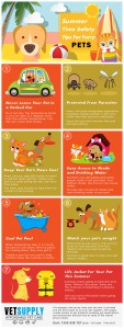 Keeping your pet cool during summer